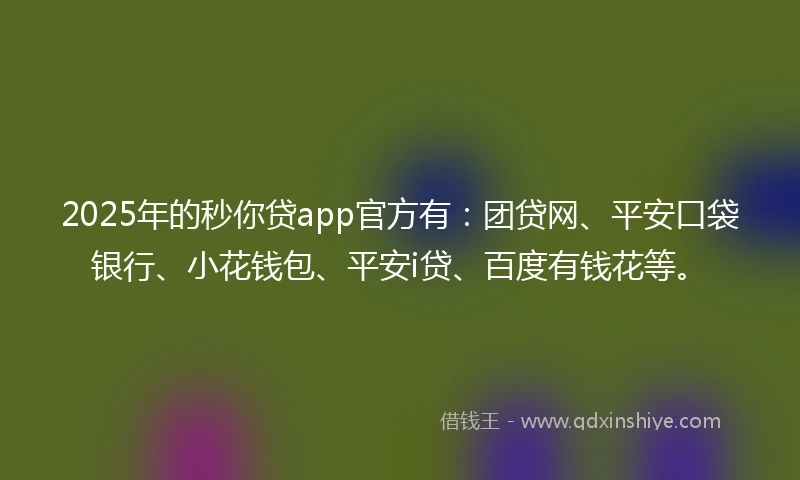 2025年的秒你贷app官方有：团贷网、平安口袋银行、小花钱包、平安i贷、百度有钱花等。