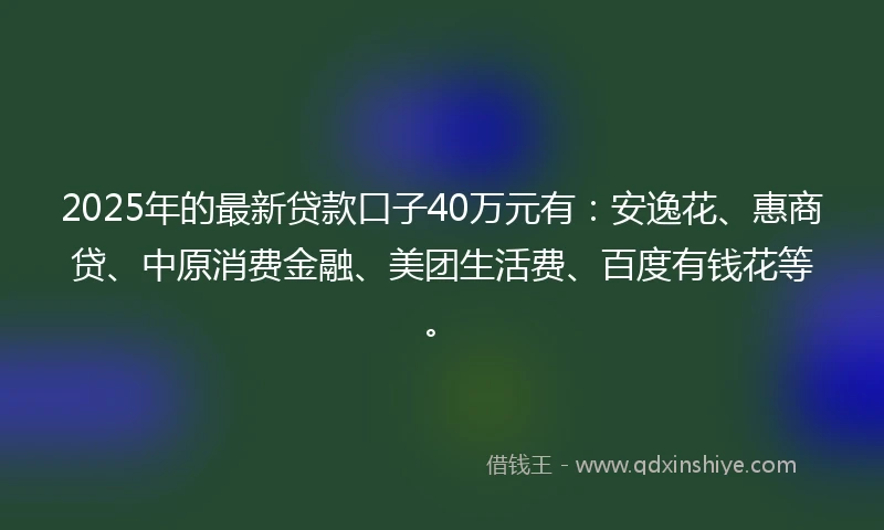 2025年的最新贷款口子40万元有：安逸花、惠商贷、中原消费金融、美团生活费、百度有钱花等。