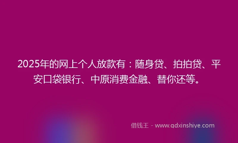 2025年的网上个人放款有：随身贷、拍拍贷、平安口袋银行、中原消费金融、替你还等。