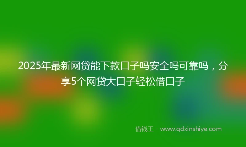2025年最新网贷能下款口子吗安全吗可靠吗，分享5个网贷大口子轻松借口子
