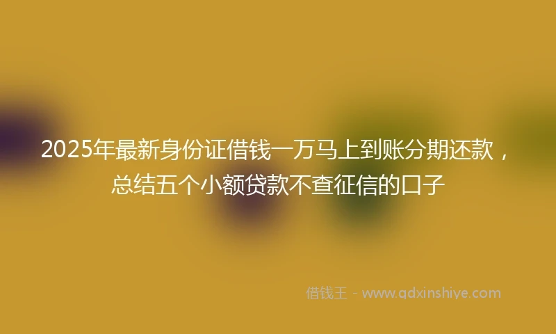 2025年最新身份证借钱一万马上到账分期还款，总结五个小额贷款不查征信的口子