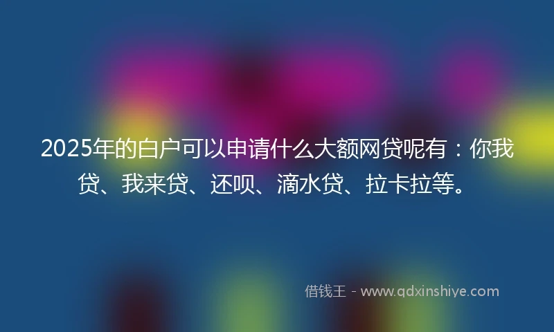 2025年的白户可以申请什么大额网贷呢有：你我贷、我来贷、还呗、滴水贷、拉卡拉等。