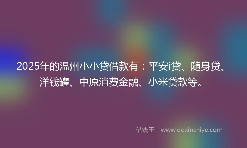 2025年的温州小小贷借款有：平安i贷、随身贷、洋钱罐、中原消费金融、小米贷款等。