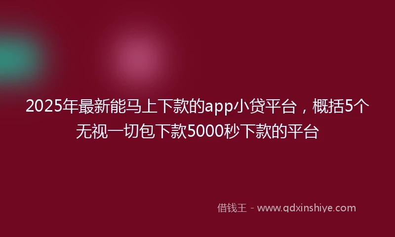 2025年最新能马上下款的app小贷平台，概括5个无视一切包下款5000秒下款的平台