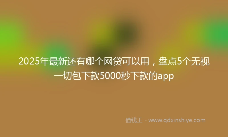 2025年最新还有哪个网贷可以用，盘点5个无视一切包下款5000秒下款的app