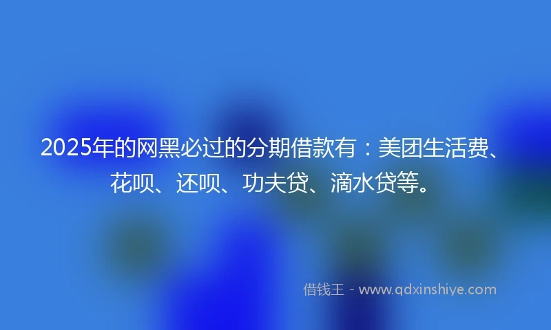 2025年的网黑必过的分期借款有：美团生活费、花呗、还呗、功夫贷、滴水贷等。
