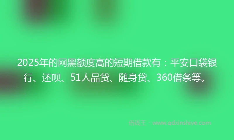 2025年的网黑额度高的短期借款有：平安口袋银行、还呗、51人品贷、随身贷、360借条等。