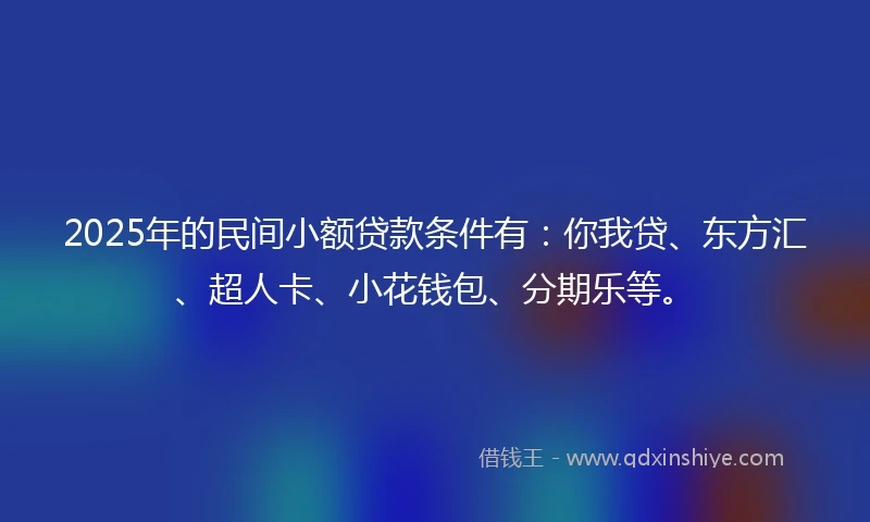 2025年的民间小额贷款条件有：你我贷、东方汇、超人卡、小花钱包、分期乐等。