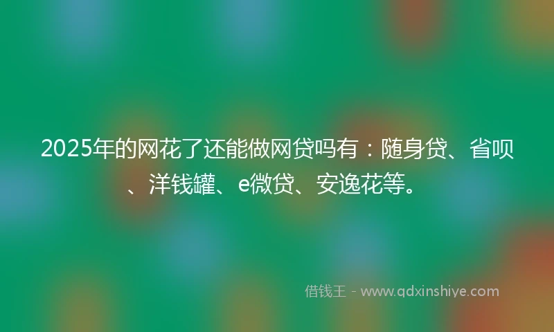 2025年的网花了还能做网贷吗有：随身贷、省呗、洋钱罐、e微贷、安逸花等。