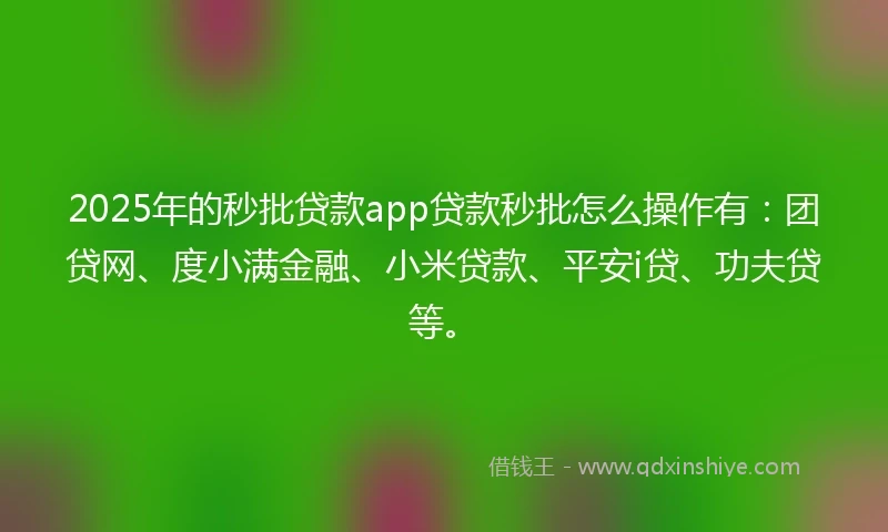 2025年的秒批贷款app贷款秒批怎么操作有：团贷网、度小满金融、小米贷款、平安i贷、功夫贷等。