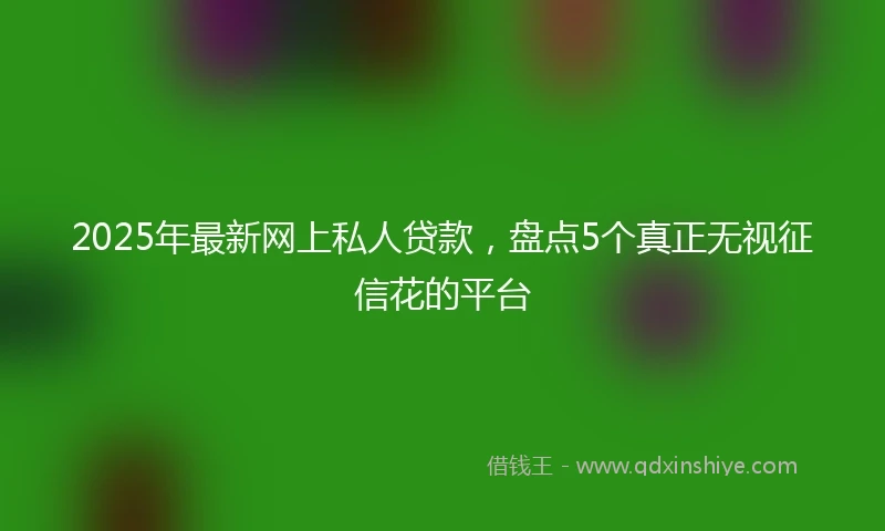 2025年最新网上私人贷款，盘点5个真正无视征信花的平台
