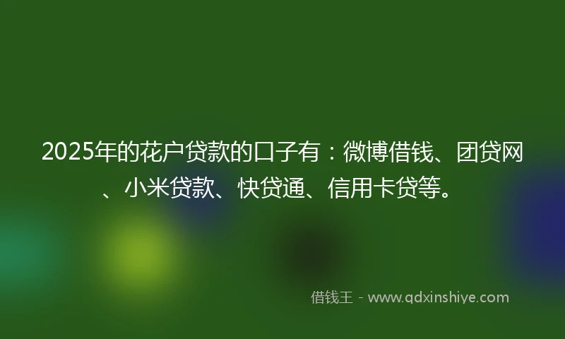 2025年的花户贷款的口子有：微博借钱、团贷网、小米贷款、快贷通、信用卡贷等。