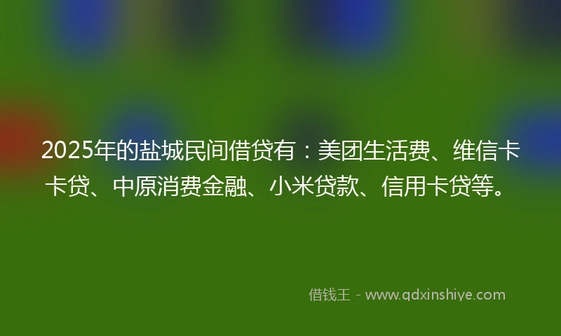 2025年的盐城民间借贷有：美团生活费、维信卡卡贷、中原消费金融、小米贷款、信用卡贷等。