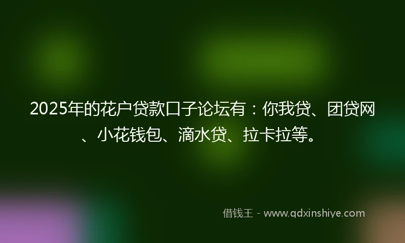 2025年的花户贷款口子论坛有：你我贷、团贷网、小花钱包、滴水贷、拉卡拉等。