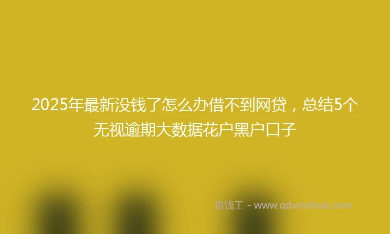 2025年最新没钱了怎么办借不到网贷，总结5个无视逾期大数据花户黑户口子