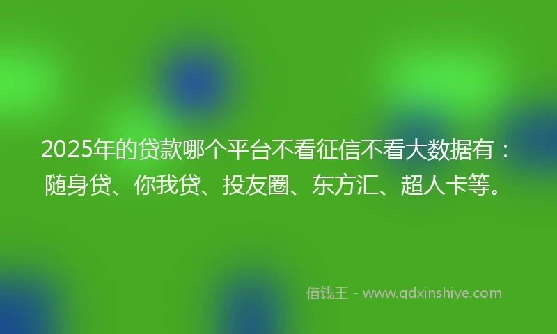 2025年的贷款哪个平台不看征信不看大数据有：随身贷、你我贷、投友圈、东方汇、超人卡等。