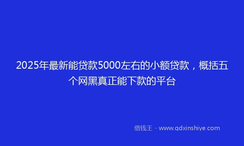 2025年最新能贷款5000左右的小额贷款,概括五个网黑真正能下款的平台