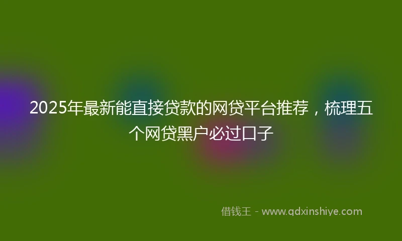 2025年最新能直接贷款的网贷平台推荐，梳理五个网贷黑户必过口子