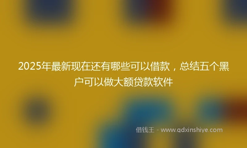 2025年最新现在还有哪些可以借款，总结五个黑户可以做大额贷款软件