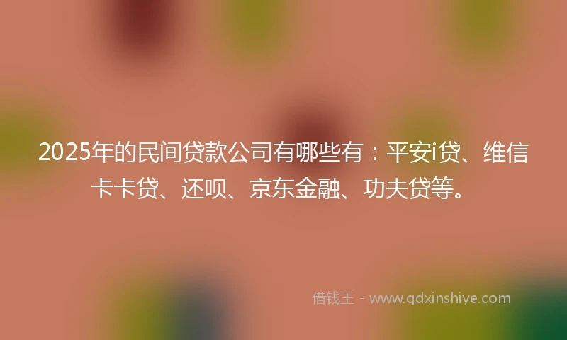 2025年的民间贷款公司有哪些有：平安i贷、维信卡卡贷、还呗、京东金融、功夫贷等。