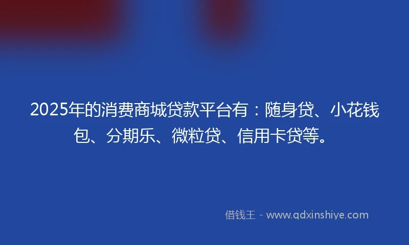 2025年的消费商城贷款平台有：随身贷、小花钱包、分期乐、微粒贷、信用卡贷等。
