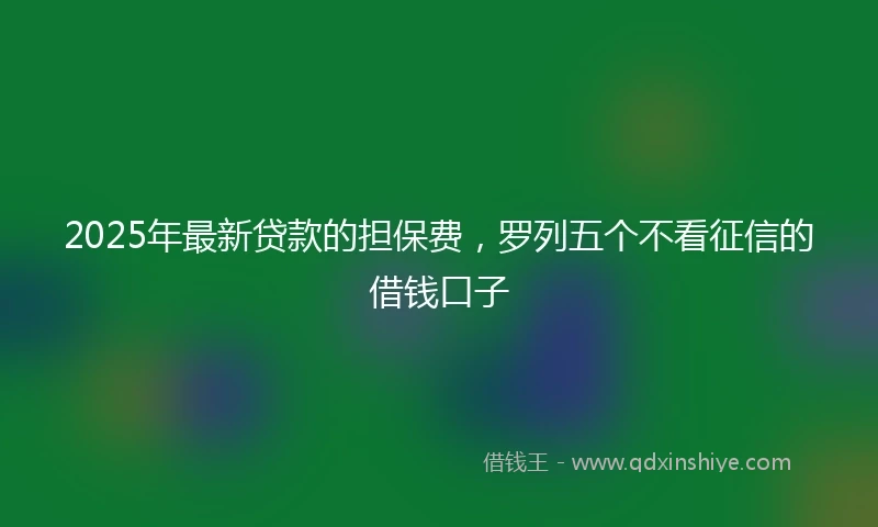 2025年最新贷款的担保费，罗列五个不看征信的借钱口子