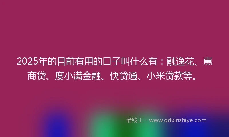 2025年的目前有用的口子叫什么有：融逸花、惠商贷、度小满金融、快贷通、小米贷款等。