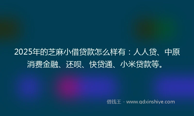 2025年的芝麻小借贷款怎么样有:人人贷、中原消费金融、还呗、快贷通、小米贷款等。