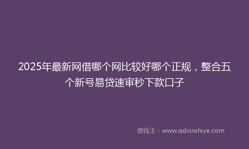 2025年最新网借哪个网比较好哪个正规，整合五个新号易贷速审秒下款口子