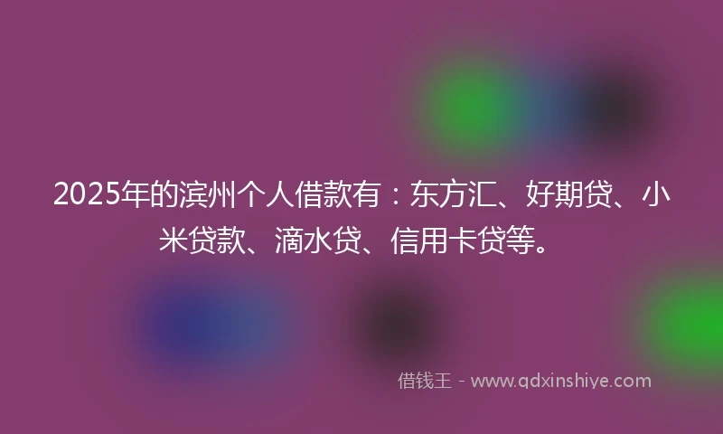 2025年的滨州个人借款有：东方汇、好期贷、小米贷款、滴水贷、信用卡贷等。