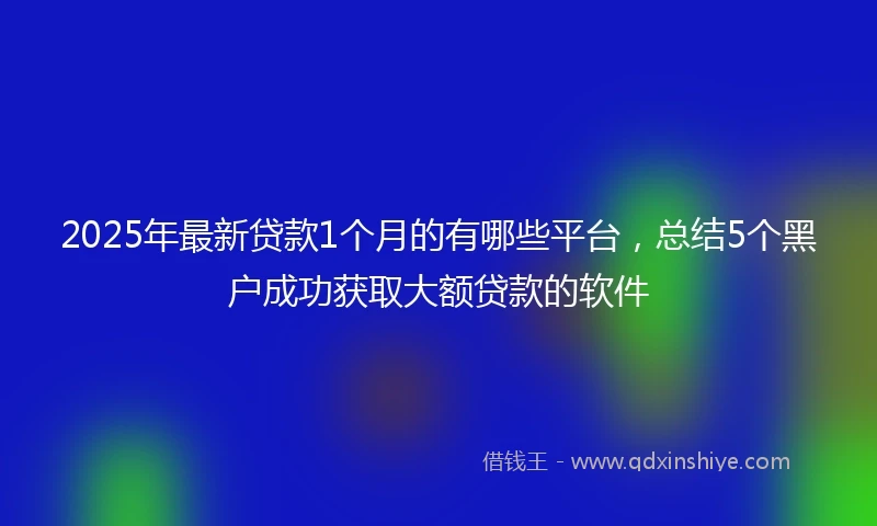 2025年最新贷款1个月的有哪些平台，总结5个黑户成功获取大额贷款的软件
