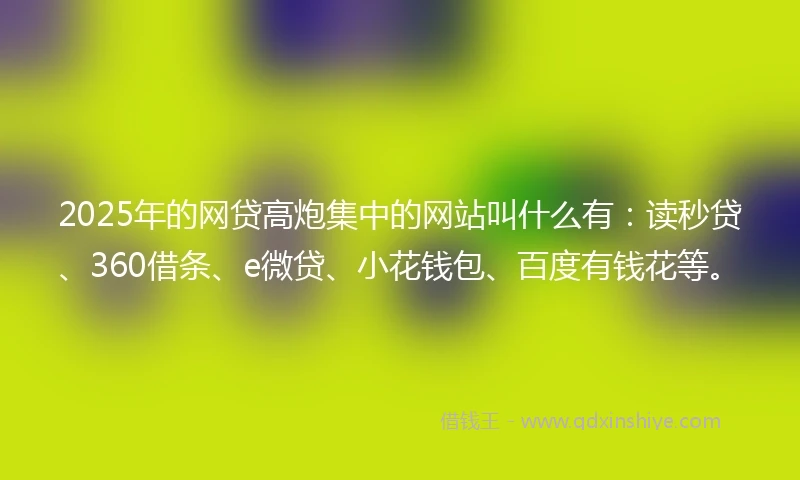 2025年的网贷高炮集中的网站叫什么有：读秒贷、360借条、e微贷、小花钱包、百度有钱花等。