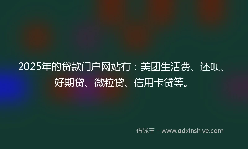 2025年的贷款门户网站有：美团生活费、还呗、好期贷、微粒贷、信用卡贷等。