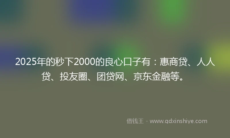 2025年的秒下2000的良心口子有：惠商贷、人人贷、投友圈、团贷网、京东金融等。