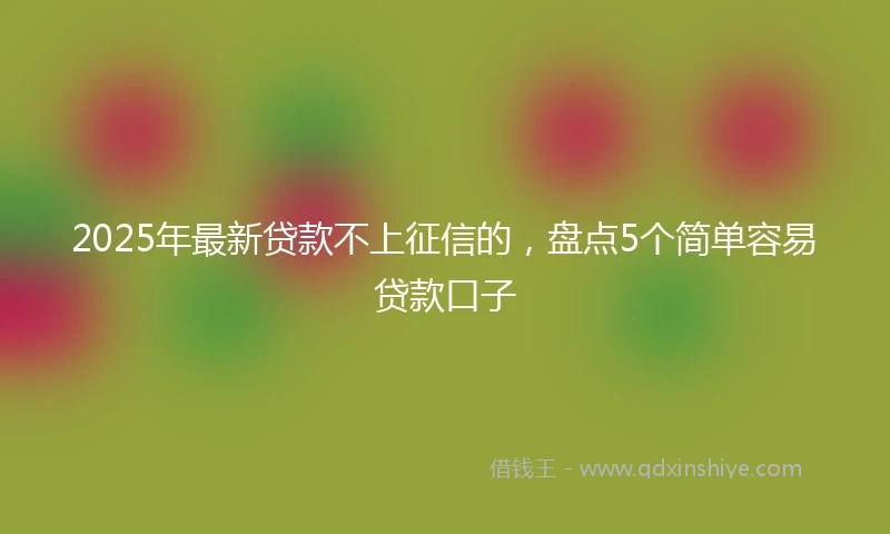 2025年最新贷款不上征信的，盘点5个简单容易贷款口子