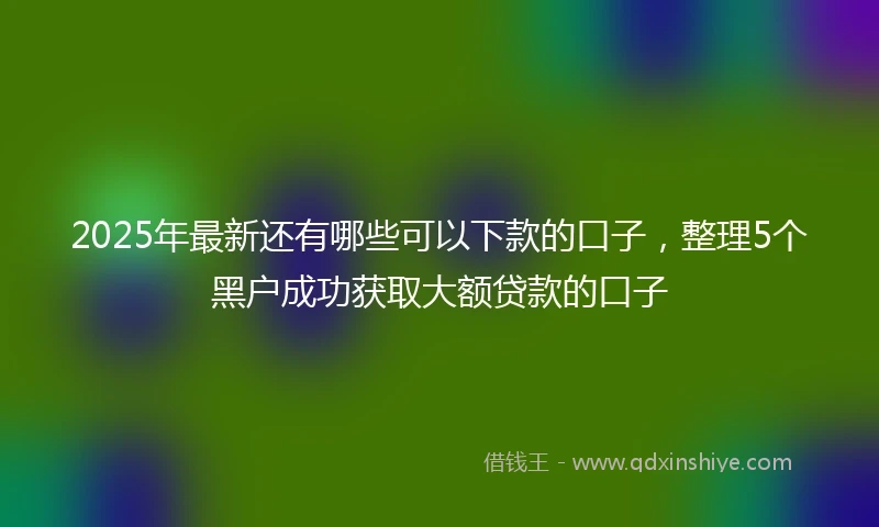 2025年最新还有哪些可以下款的口子,整理5个黑户成功获取大额贷款的口子
