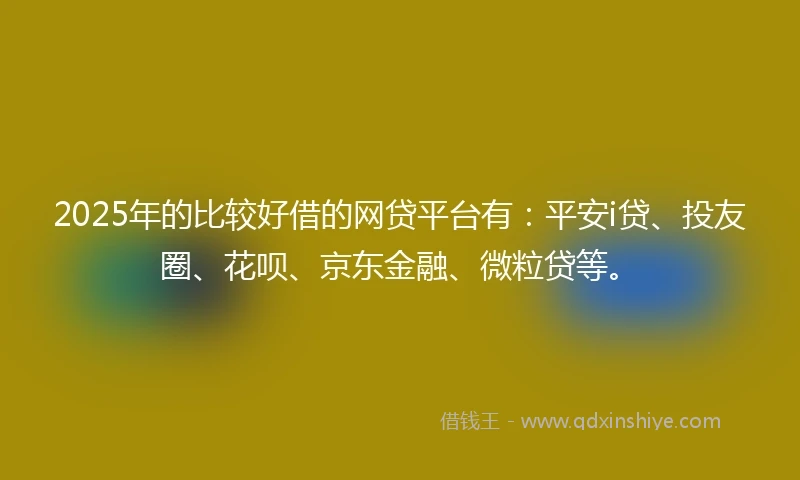 2025年的比较好借的网贷平台有：平安i贷、投友圈、花呗、京东金融、微粒贷等。