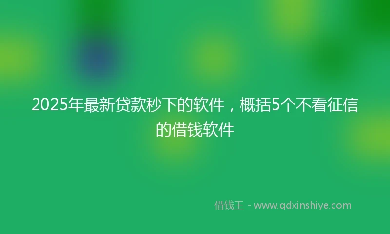 2025年最新贷款秒下的软件，概括5个不看征信的借钱软件