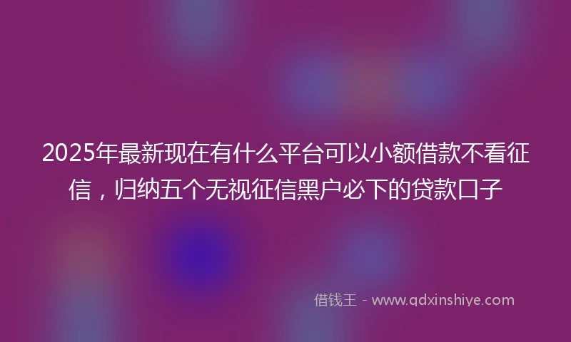 2025年最新现在有什么平台可以小额借款不看征信，归纳五个无视征信黑户必下的贷款口子