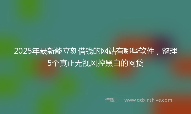 2025年最新能立刻借钱的网站有哪些软件，整理5个真正无视风控黑白的网贷
