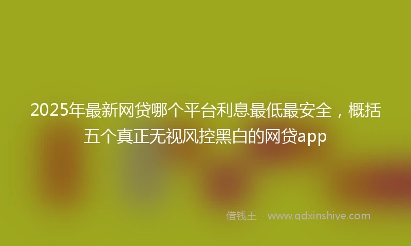 2025年最新网贷哪个平台利息最低最安全，概括五个真正无视风控黑白的网贷app