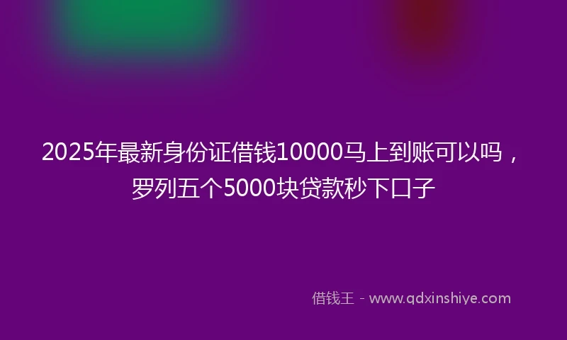 2025年最新身份证借钱10000马上到账可以吗，罗列五个5000块贷款秒下口子