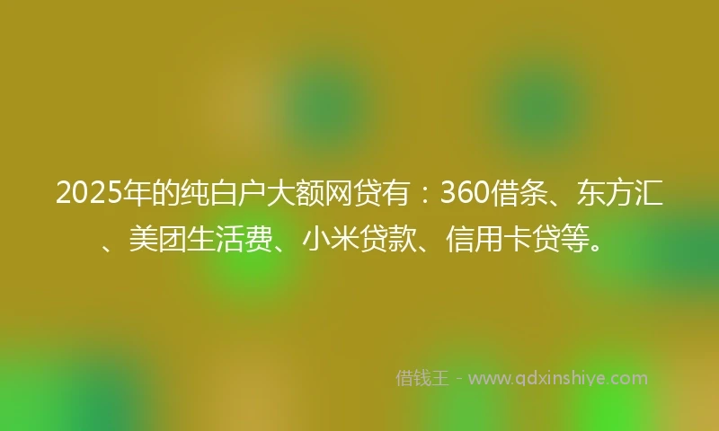 2025年的纯白户大额网贷有：360借条、东方汇、美团生活费、小米贷款、信用卡贷等。
