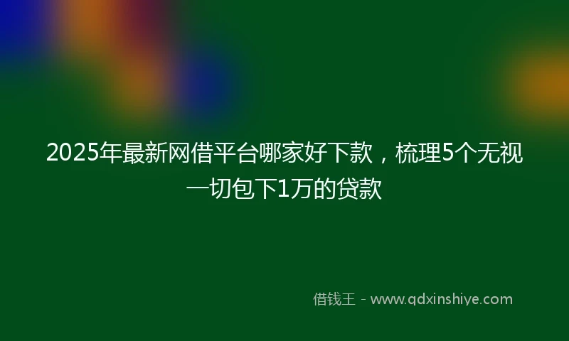 2025年最新网借平台哪家好下款，梳理5个无视一切包下1万的贷款