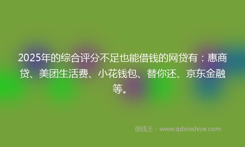 2025年的综合评分不足也能借钱的网贷有：惠商贷、美团生活费、小花钱包、替你还、京东金融等。