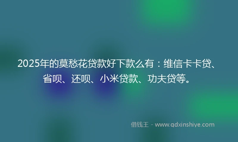 2025年的莫愁花贷款好下款么有：维信卡卡贷、省呗、还呗、小米贷款、功夫贷等。