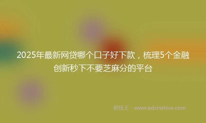2025年最新网贷哪个口子好下款，梳理5个金融创新秒下不要芝麻分的平台