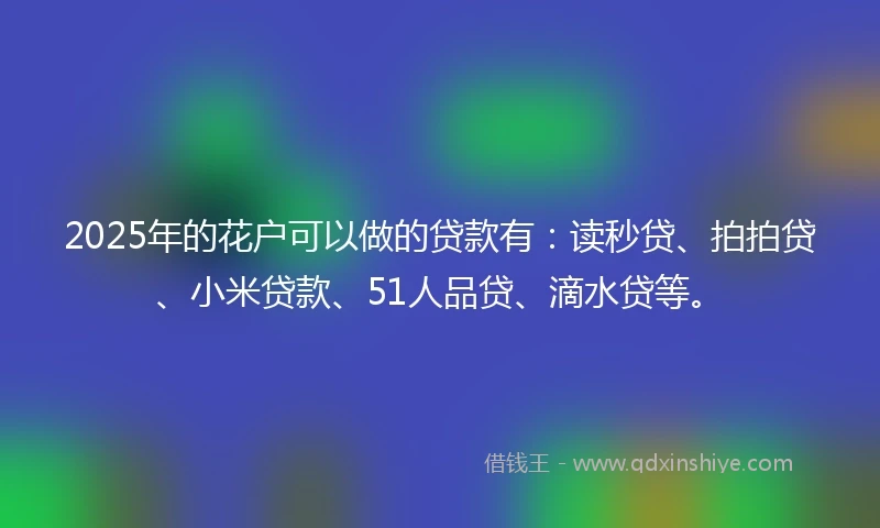 2025年的花户可以做的贷款有：读秒贷、拍拍贷、小米贷款、51人品贷、滴水贷等。