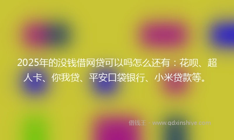 2025年的没钱借网贷可以吗怎么还有：花呗、超人卡、你我贷、平安口袋银行、小米贷款等。