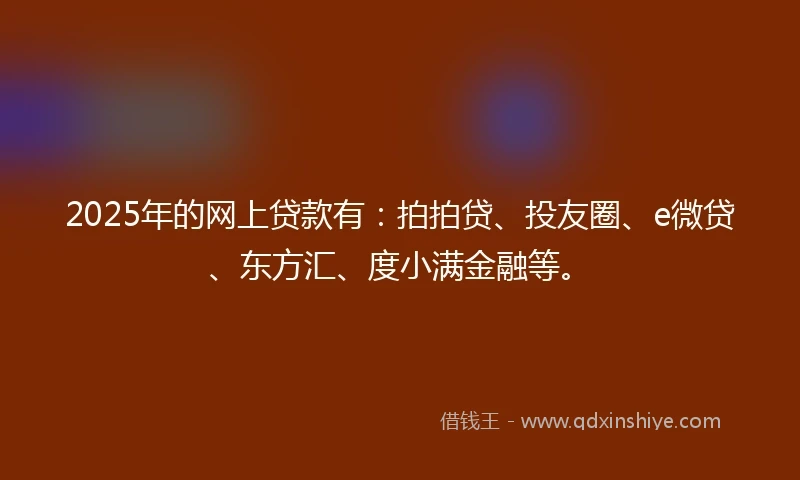 2025年的网上贷款有：拍拍贷、投友圈、e微贷、东方汇、度小满金融等。